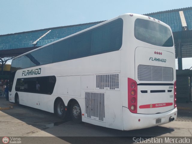 Expresos Flamingo 0088 por Sebastin Mercado