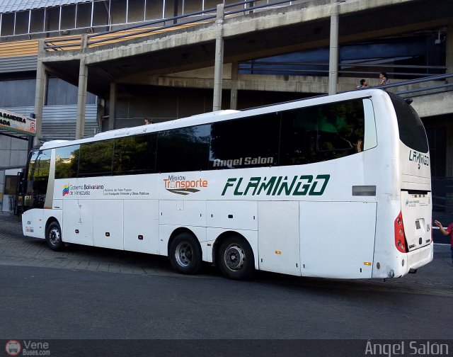 Expresos Flamingo 0094 por ngel Saln