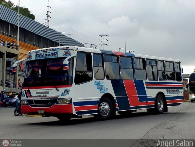 Expresos Pegamar 0014 por �ngel Sal�n