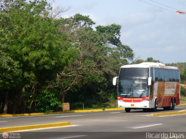 Rodovias de Venezuela 333 por Ricardo Ugas