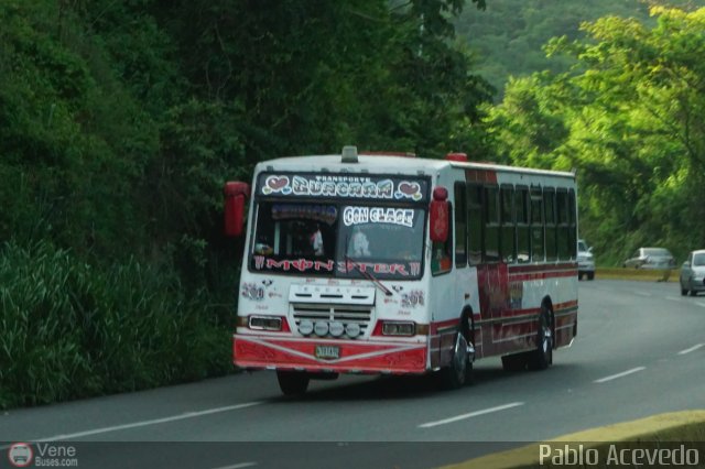 Transporte Guacara 0201 por Pablo Acevedo