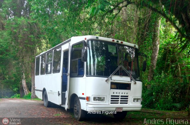 Particular IPASME por Andrs Figuera