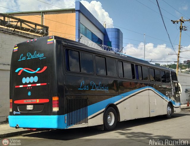 Transporte Las Delicias C.A. E-46 por Alvin Rond�n