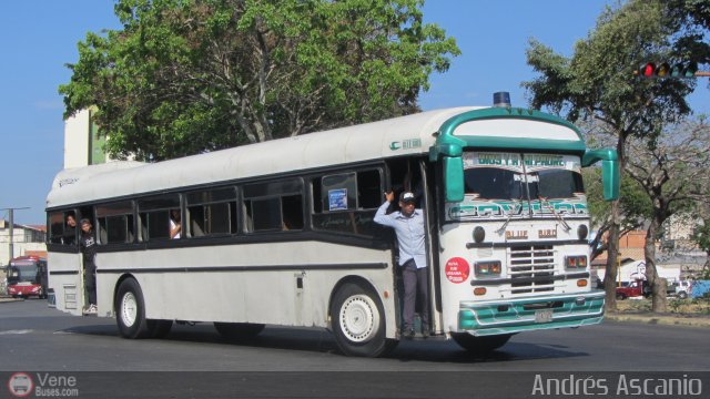 CA - Unin Campo Carabobo 055 por Andrs Ascanio