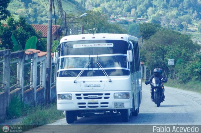 L�nea Cultura 29 por Pablo Acevedo