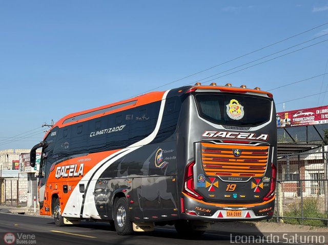 Tax Gacela 19 por Leonardo Saturno