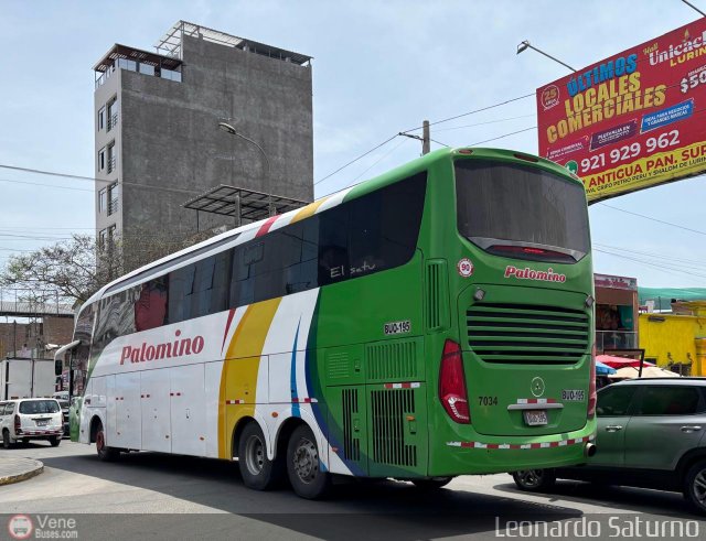 Expreso Internacional Palomino 7034 por Leonardo Saturno