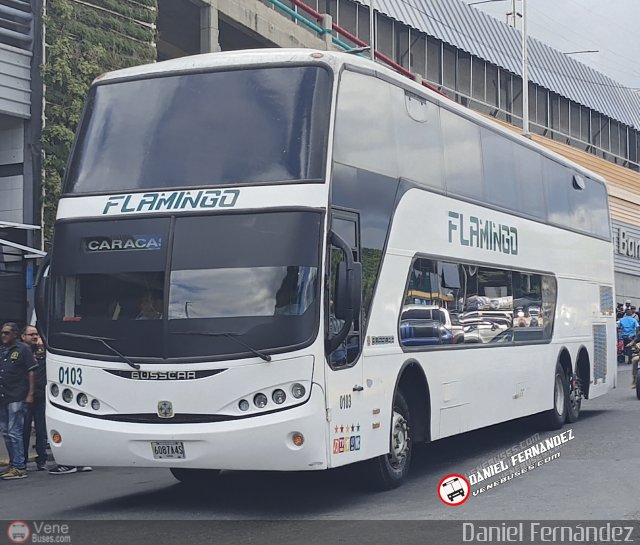Expresos Flamingo 0103 por Daniel Fernndez