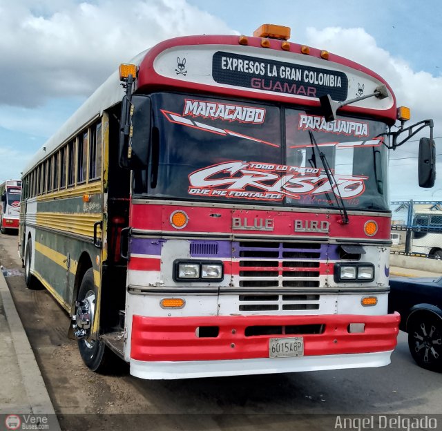 Expresos La Gran Colombia 37 por ngel Delgado