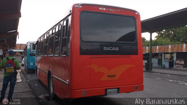 S.C. L�nea Qu�bor 98 por Aly Baranauskas