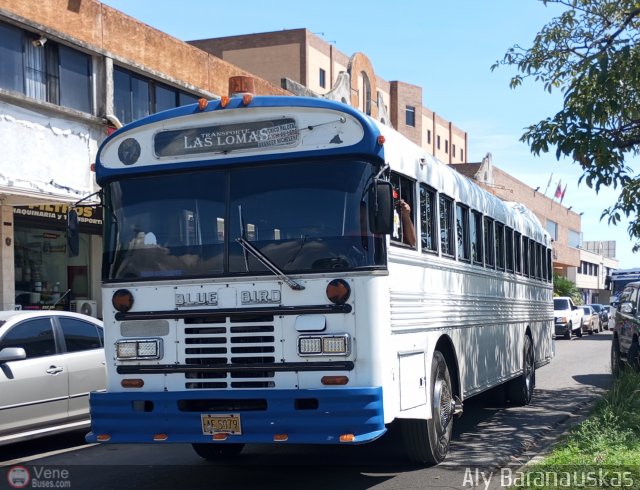 CA - Transporte Las Lomas 01 por Aly Baranauskas