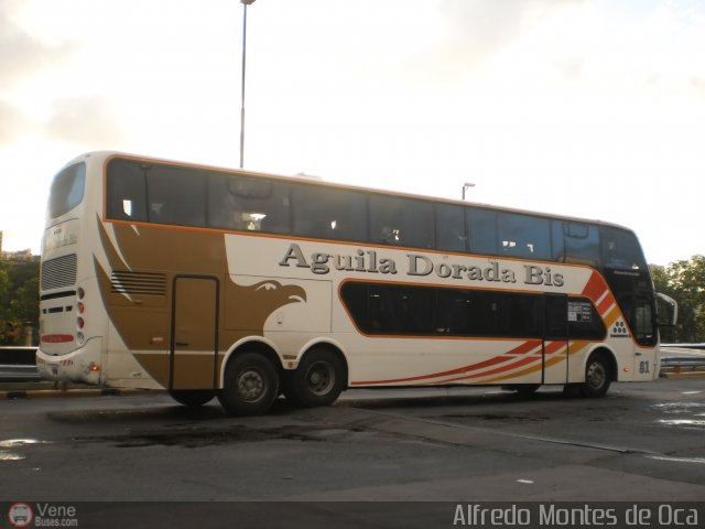 Aguila Dorada Bis 081 por Alfredo Montes de Oca