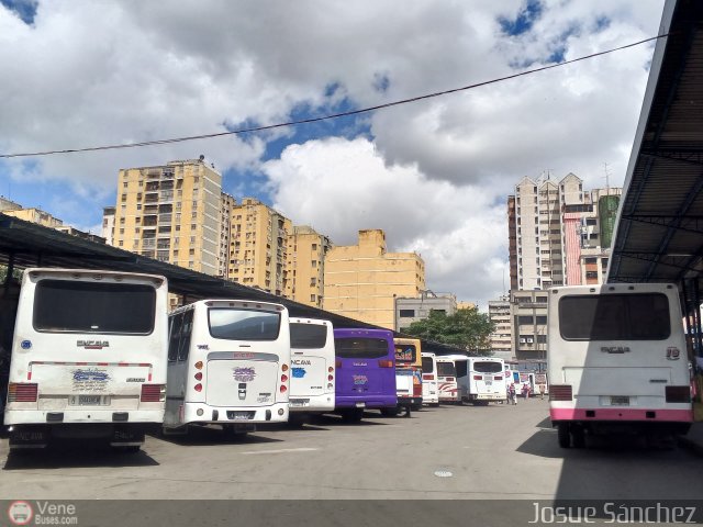 Garajes Paradas y Terminales Nuevo-Circo por Josue S�nchez