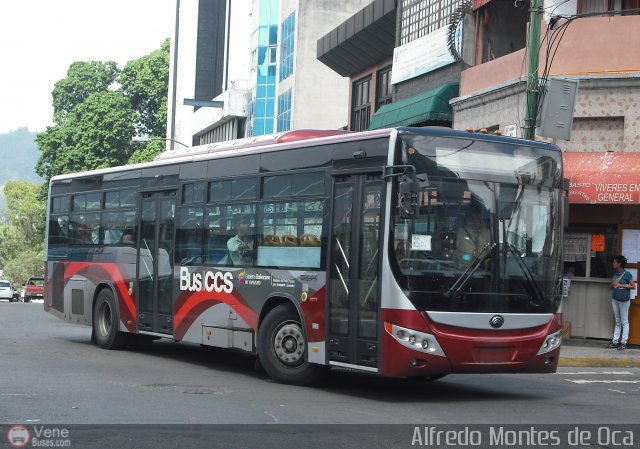Bus CCS 1216 por Alfredo Montes de Oca