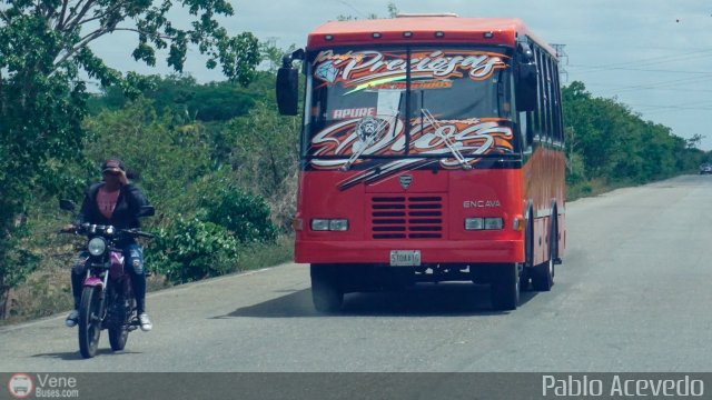 Los R�pidos S.C. 49 por Pablo Acevedo