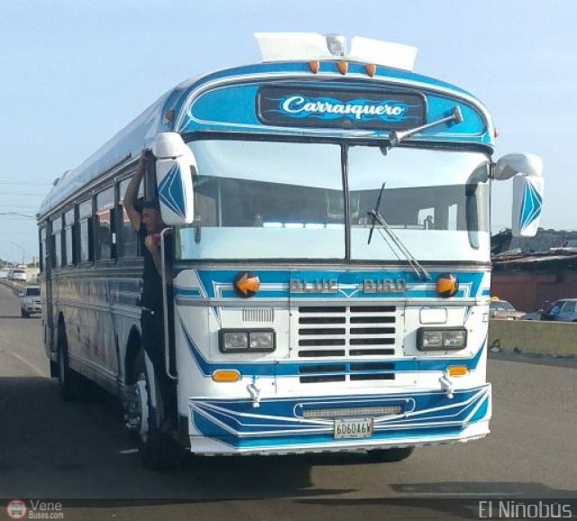 Colectivos Guasare C.A 29 por �ngel Delgado