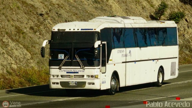 Expresos Pegamar 1022 por Pablo Acevedo