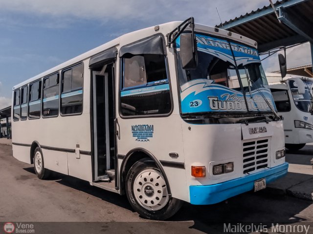 L�nea Altagracia 23 por Maikelvis Monroy