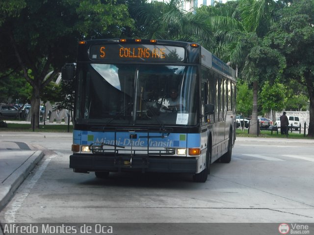 Miami-Dade County Transit 05118 por Alfredo Montes de Oca