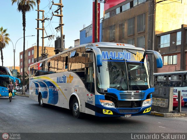 E.T. Male�o VIP 963 por Leonardo Saturno