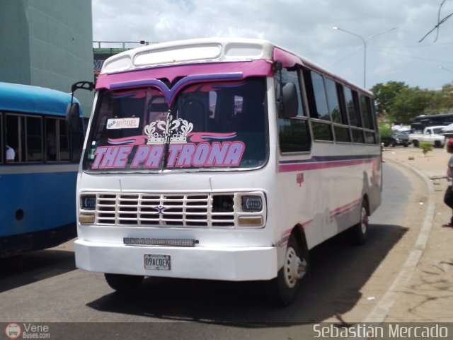 ZU - Los Claveles 02 por Sebastin Mercado