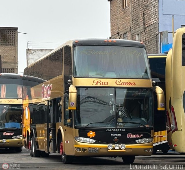 Transporte Flores Hermanos S.R.L 956 por Leonardo Saturno
