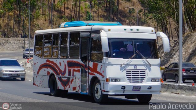 Particular o Desconocido Miranda por Pablo Acevedo