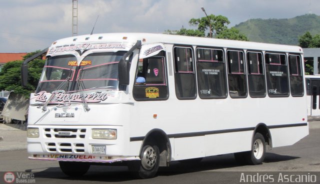 CA - Asociaci�n Coop. El Trigal R.L. 13 por Andr�s Ascanio