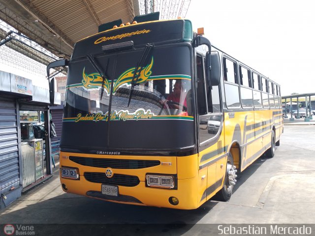 ZU - Colectivos Concepcin 079 por Sebastin Mercado
