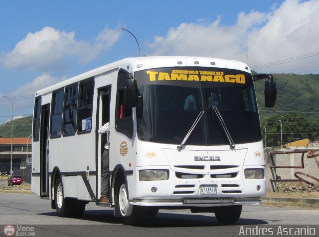 A.C. de Transporte Sol de Tamanaco 24 por Andrs Ascanio