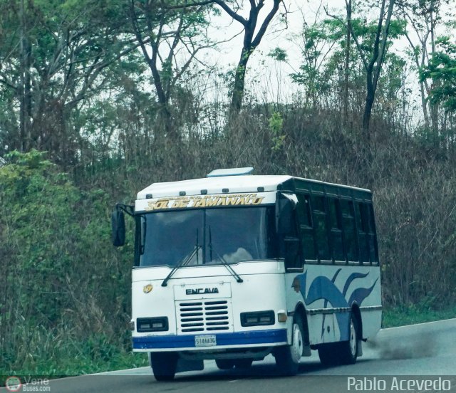 A.C. de Transporte Sol de Tamanaco 17 por Pablo Acevedo