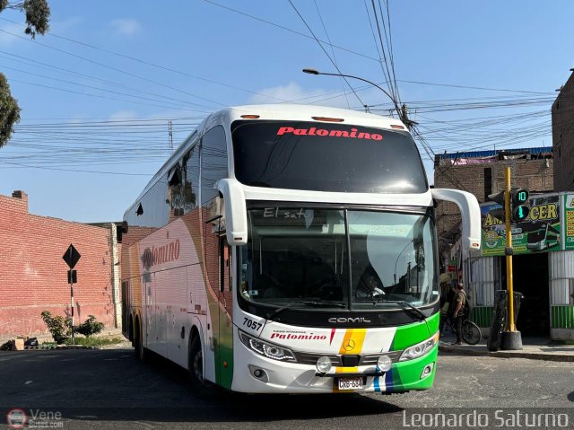 Expreso Internacional Palomino 7057 por Leonardo Saturno