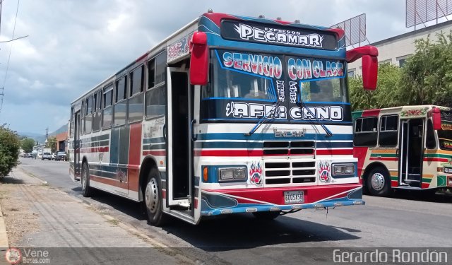 Expresos Pegamar 0004 por Gerardo Rondn