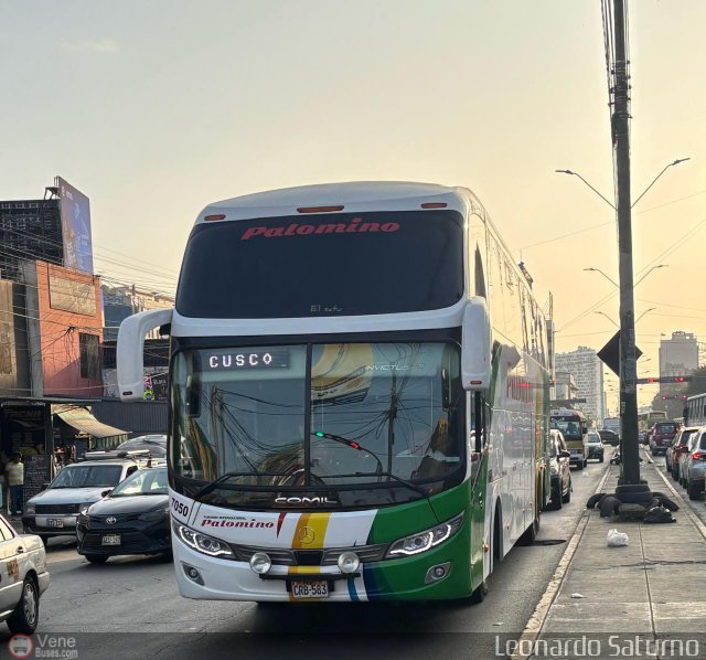 Expreso Internacional Palomino 7050 por Leonardo Saturno
