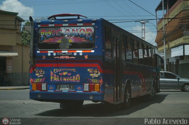 Transporte Colectivo Palo Negro 24 por Pablo Acevedo