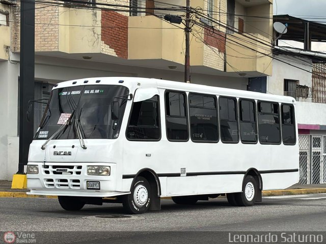 ME - Coop. La Orqu�dea Real Del Sur R.L. 95 por Leonardo Saturno