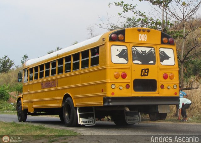 CA - TransDrcula D09 por Andrs Ascanio