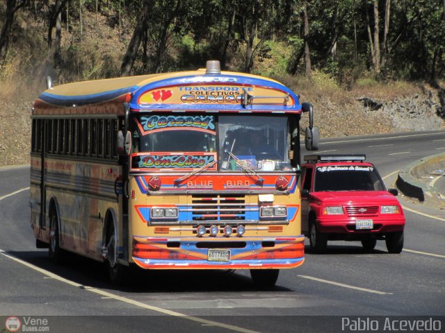 Transporte Colectivo Camag 01 por Pablo Acevedo