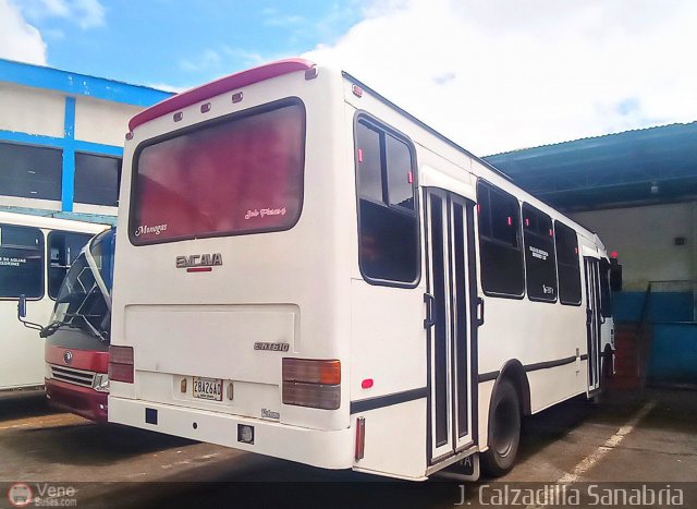 Expresos Gu�charo 17 por Jos�as Calzadilla