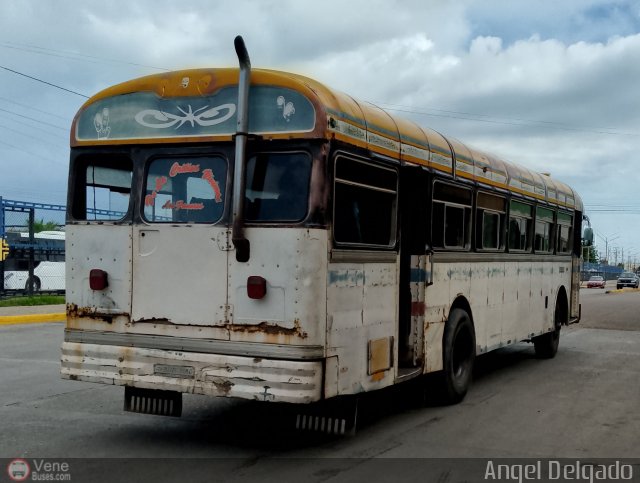 Colectivos Manuelote C.A. 49 por �ngel Delgado