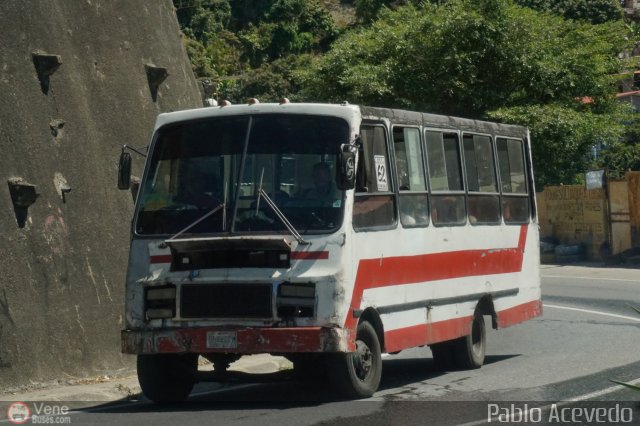 DC - Tigres de Plan de Manzano 062 por Pablo Acevedo