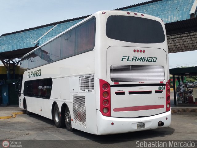 Expresos Flamingo 0060 por Sebastin Mercado