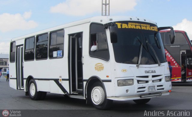 A.C. de Transporte Sol de Tamanaco 24 por Andrs Ascanio