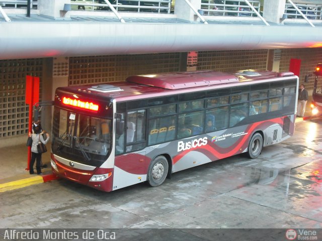 Bus CCS 1288 por Alfredo Montes de Oca