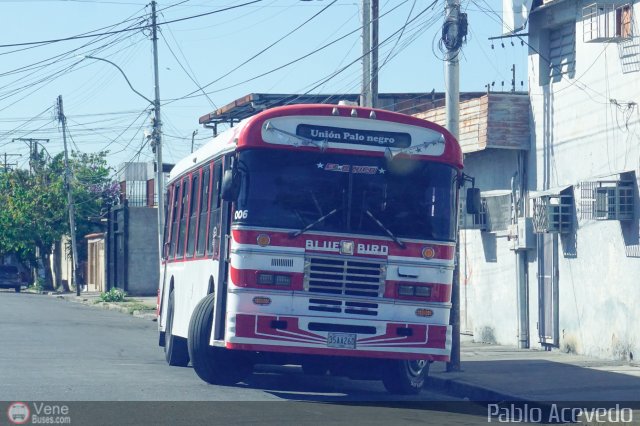 A.C. Uni�n Palo Negro 006 por Pablo Acevedo