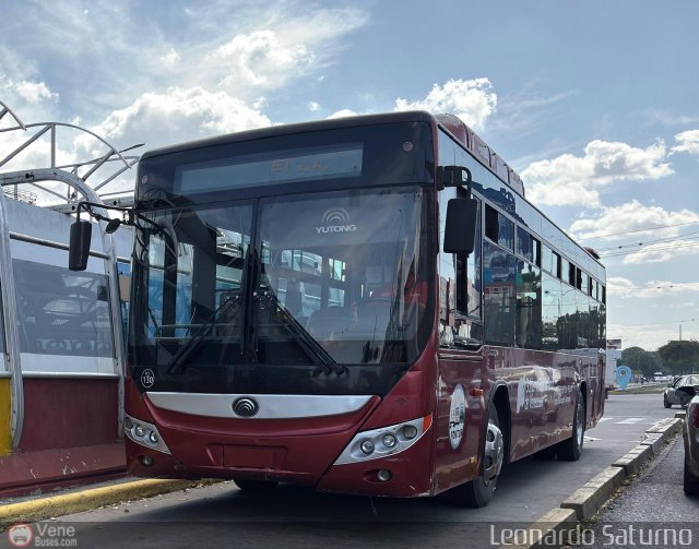 TransBarca 130 por Leonardo Saturno