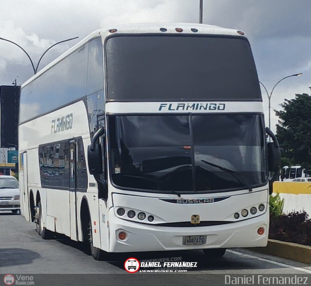 Expresos Flamingo 0013 por Daniel Fernndez