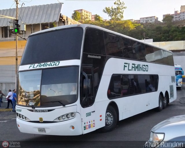 Expresos Flamingo 0088 por Alvin Rondn