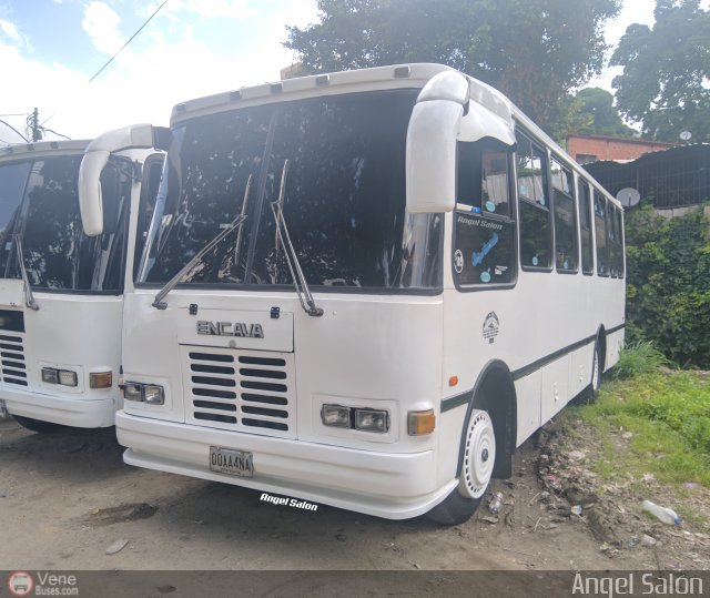 A.C. Don Augusto Malave Villalba 105 por ngel Saln