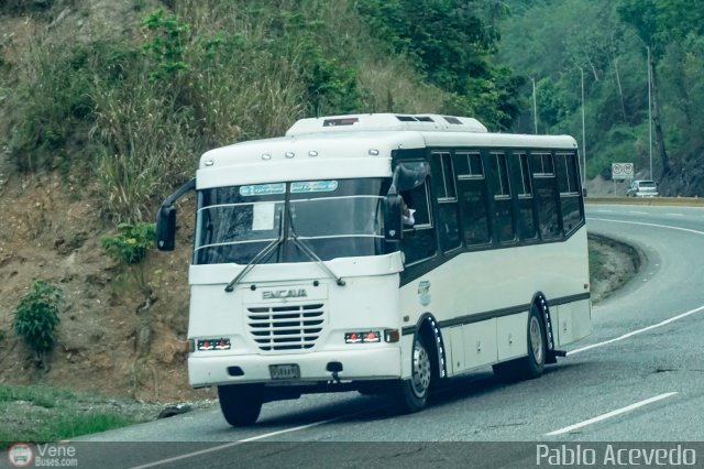S.C. L�nea Transporte Expresos Del Chama 004 por Pablo Acevedo